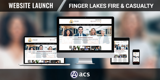 section 508 of the rehabilitation act of 1973 finger lakes fire and casualty company compliant example from acs web design and seo