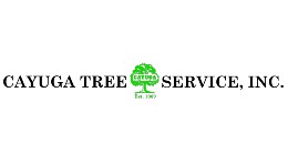 tree service website design cayuga tree service thumbnail by acs web design and seo