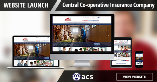 insurance website design ccic portfolio listing from acs web design and seo