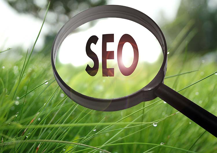 Magnify glass with SEO showing meaning of organic search results 