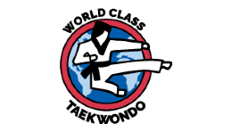 gym web design near syracuse ny world class taekwondo centers logo