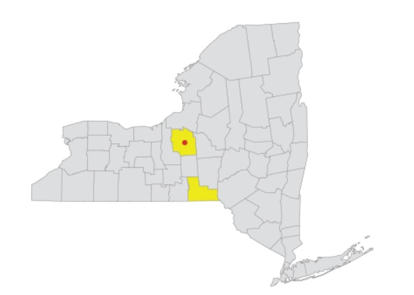 landscaping website design map of new york state with highlights on client service region onondaga county and broome county